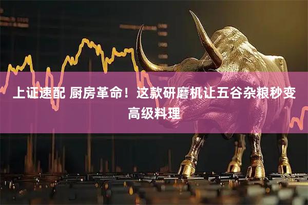 上证速配 厨房革命！这款研磨机让五谷杂粮秒变高级料理