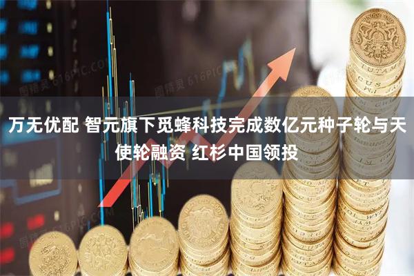 万无优配 智元旗下觅蜂科技完成数亿元种子轮与天使轮融资 红杉中国领投