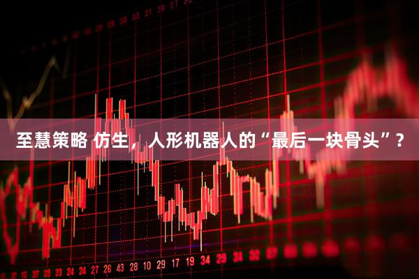 至慧策略 仿生，人形机器人的“最后一块骨头”？
