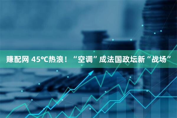 赚配网 45℃热浪！“空调”成法国政坛新“战场”