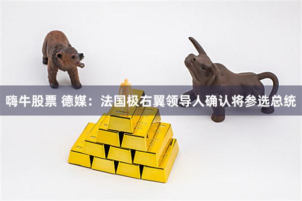 嗨牛股票 德媒：法国极右翼领导人确认将参选总统