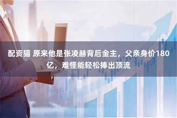 配资猫 原来他是张凌赫背后金主，父亲身价180亿，难怪能轻松捧出顶流